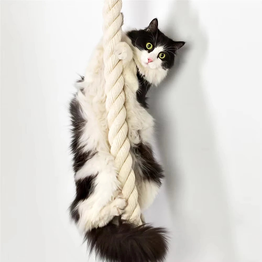 Wall mounted sisal climbing rope for cats