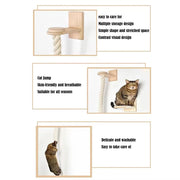 Cat scratching sisal rope wall climber