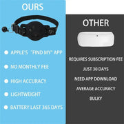 Lightweight smart tag on cat collar detail