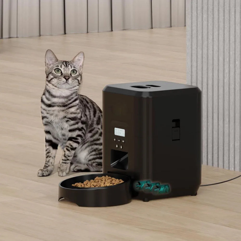 Black button-controlled automatic cat feeder beside an indoor cat