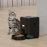 Black button-controlled automatic cat feeder beside an indoor cat