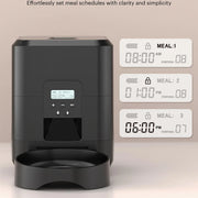 Automatic cat feeder display showing programmable meal times and portion settings