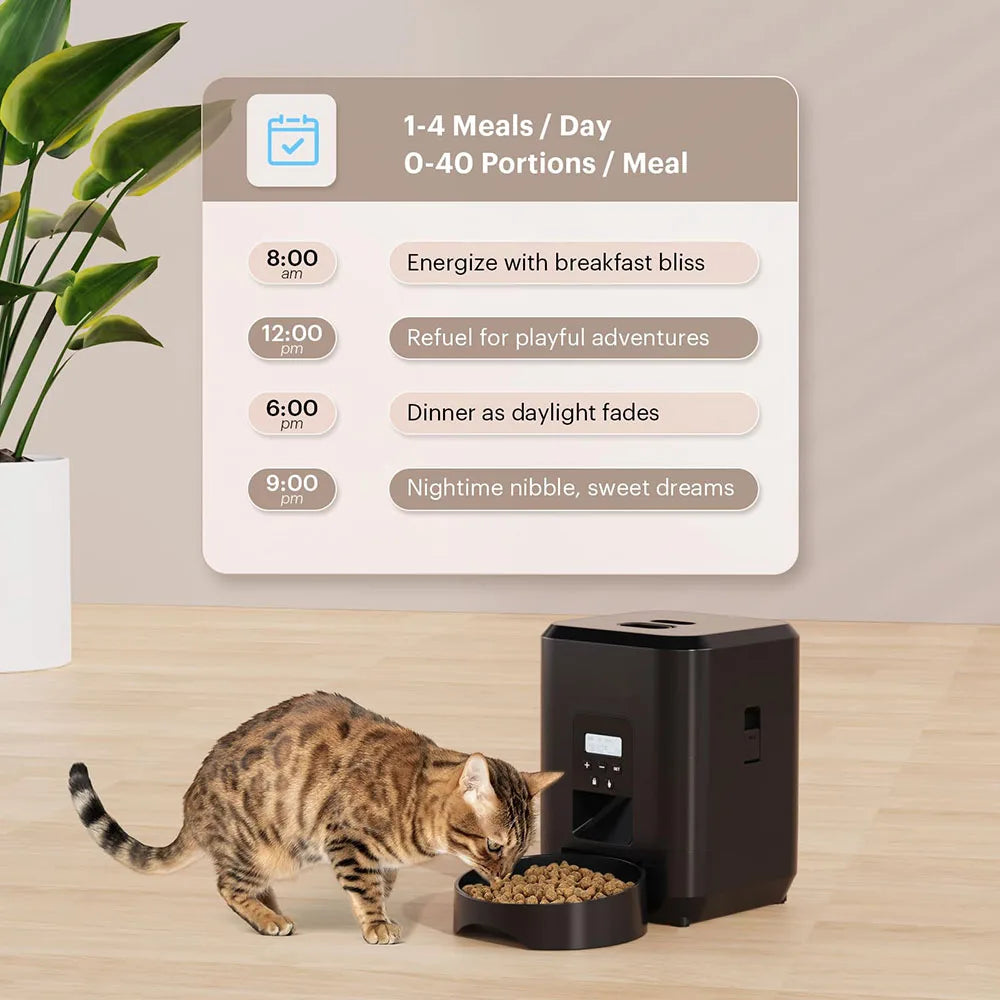 Timed dry food cat feeder scheduling 1 to 4 meals and up to 40 portions per meal