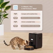 Timed dry food cat feeder scheduling 1 to 4 meals and up to 40 portions per meal