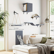 Wall mounted cat climbing set pieces detail